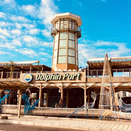 Dolphin Port