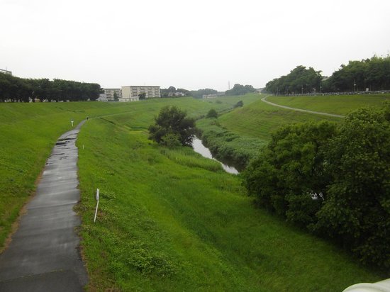 Outdoor Pictures 1
