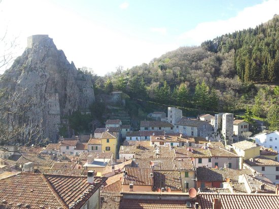 Bosco Rocconi