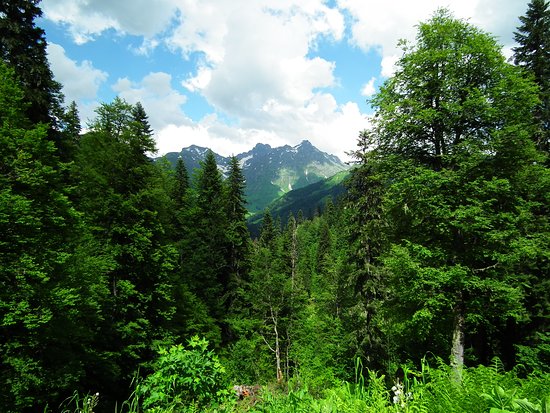 Alpine Meadows of Abkhazia
