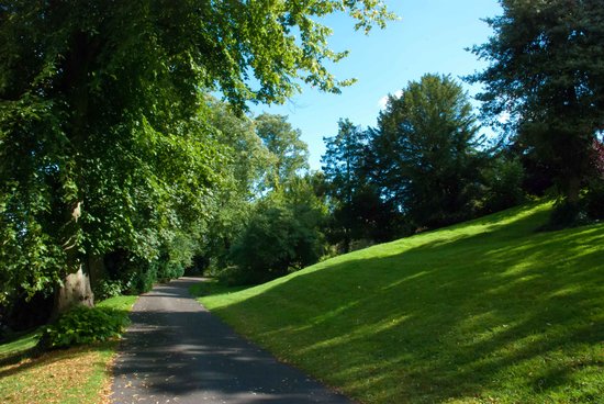 Brandon Hill Nature Park