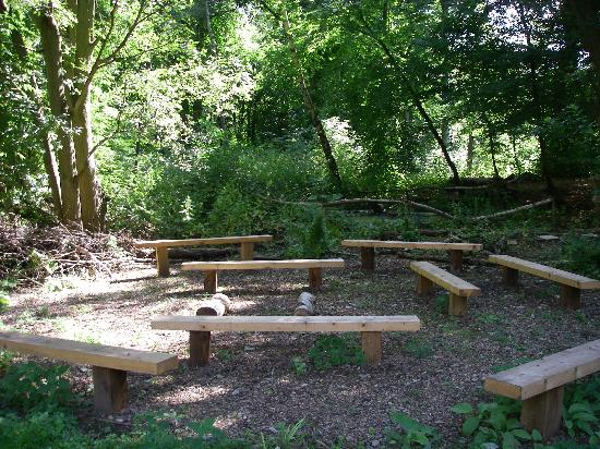FSC Epping Forest