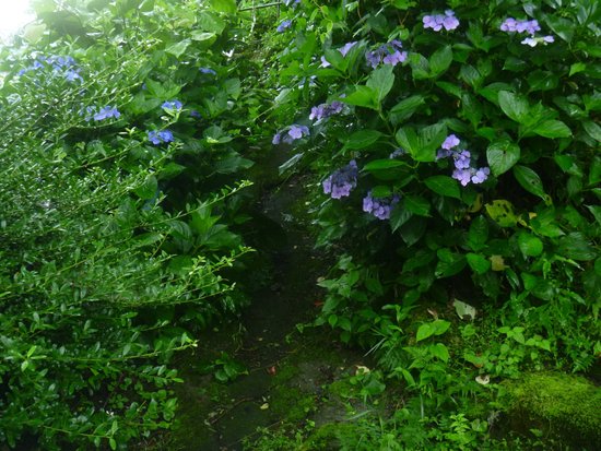 Outdoor Pictures 1