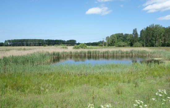 Sculthorpe Moor Nature Reserve