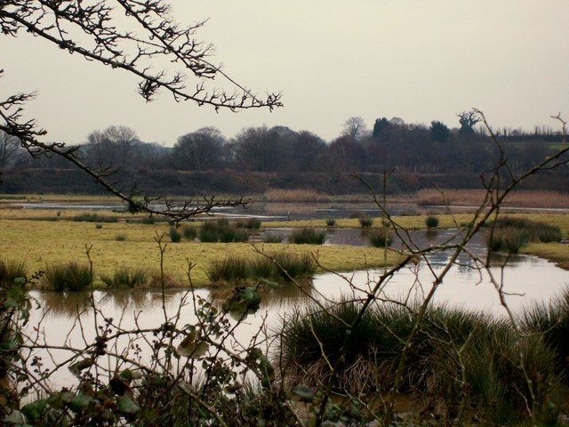 RSPB Bowling Green Marsh