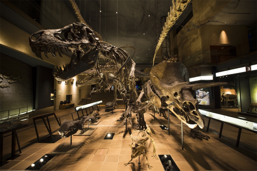 Kitakyushu Museum of Natural History & Human History
