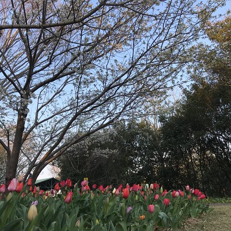 Yoshida Park