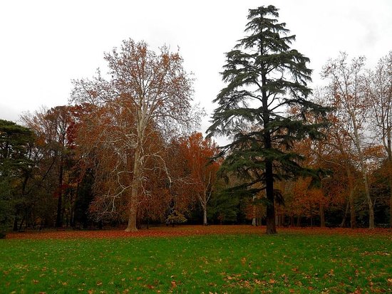 Parco del Neto