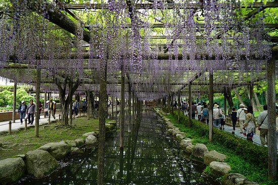 Tenno River Park