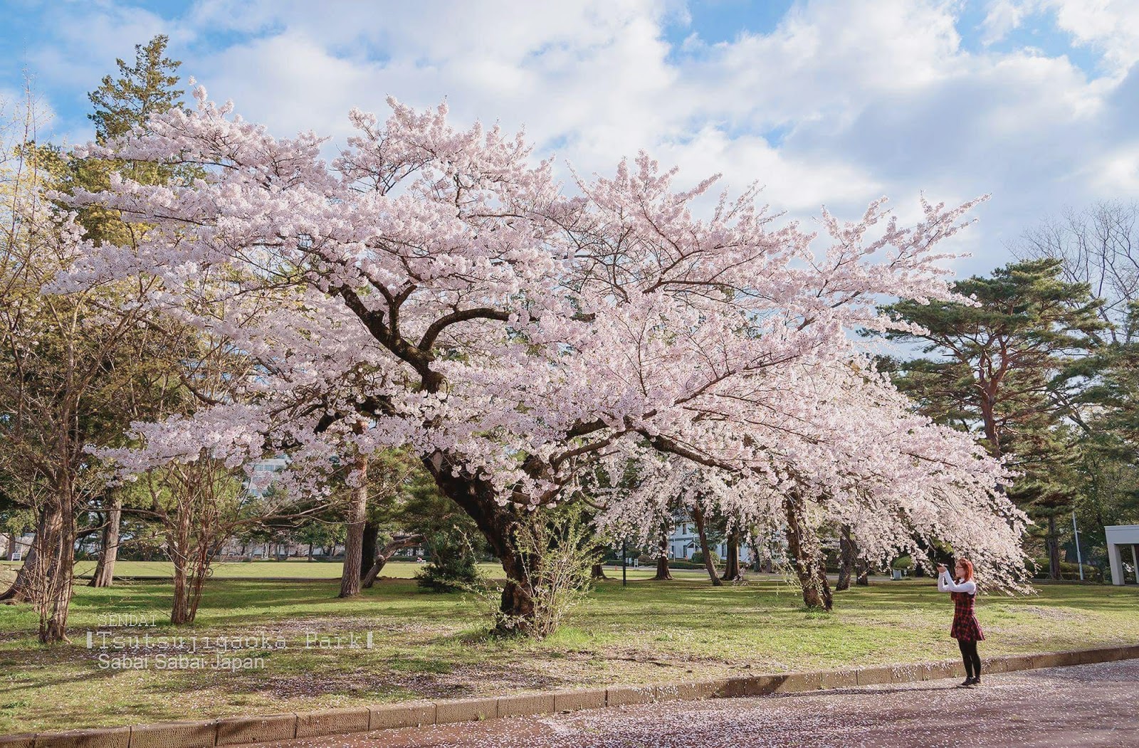 Tsutsujigaoka Park