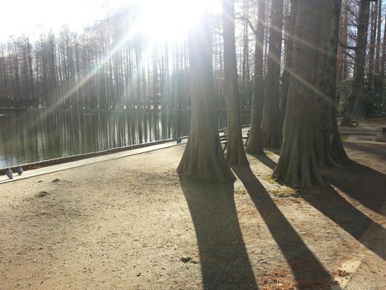 Besshonuma Park
