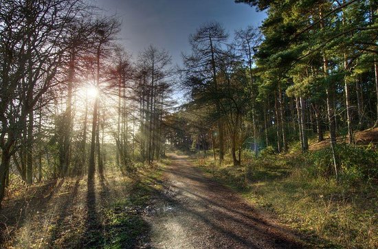 Irchester Country Park
