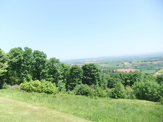 Haldon Forest Park (Forestry England)