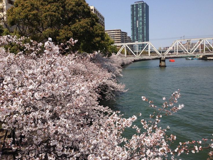 Kemasakuranomiya Park
