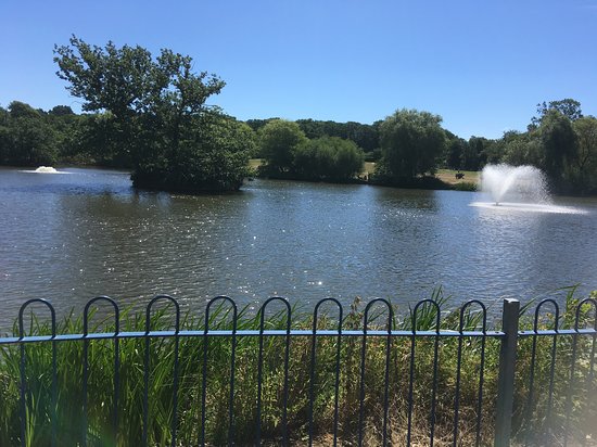 Lake Meadows