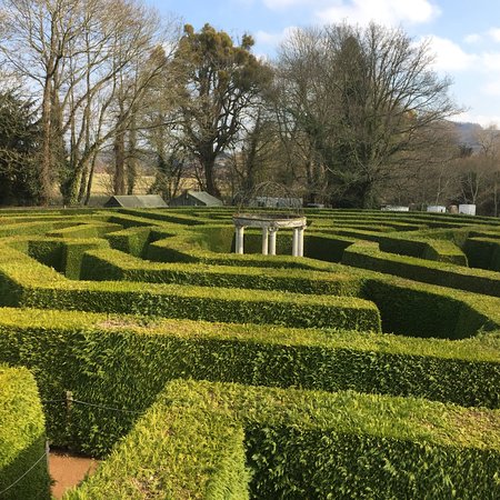 The aMazing Hedge Puzzle