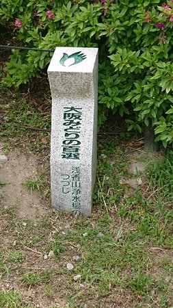 Asakayama Green