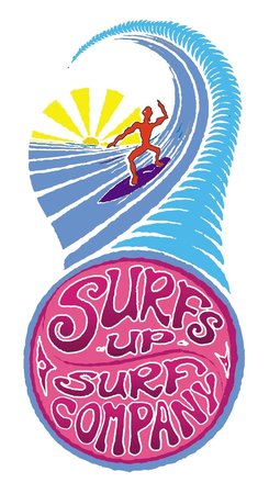 Polzeath Surf School