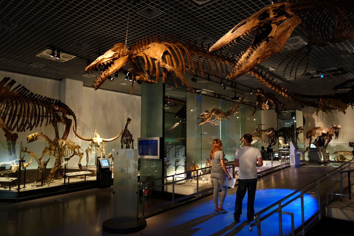 Haruhicho History Museum