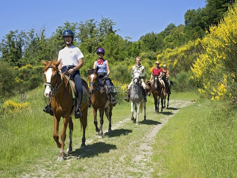 Siena Horse Riding