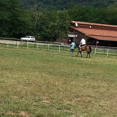 Unye Belediyesi Binicilik Tesisleri