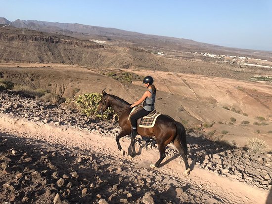El Salobre Horse Riding