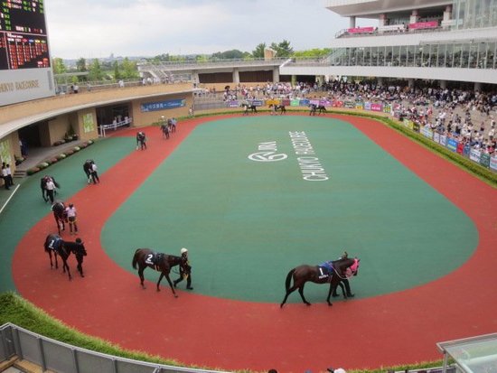 Chukyo Horse Race Track