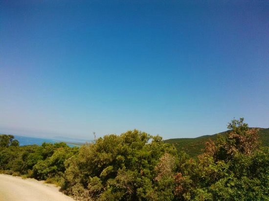 Tuscany Horse Trail