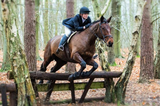 Horse Riding Surrey