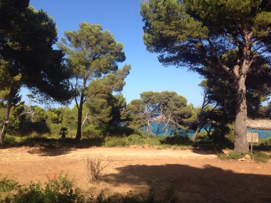 Hipico Cala Ratjada Reiten