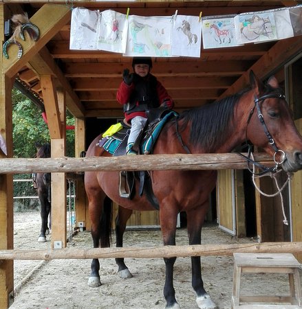 Ranch Pelance