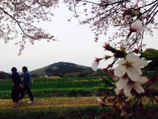 Mt. Ohirayama
