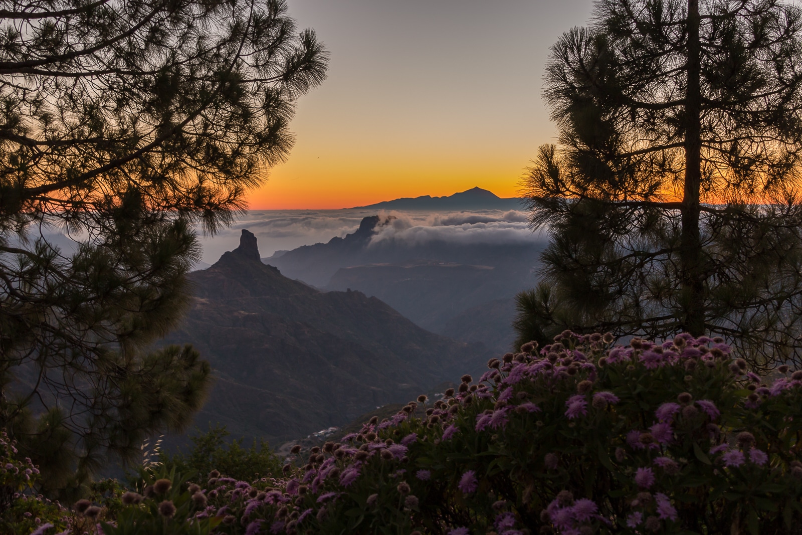 Mirador Degollada de Becerra