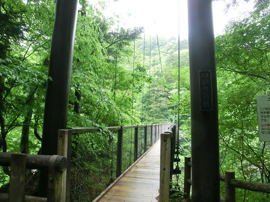Mikaeri Suspension Bridge