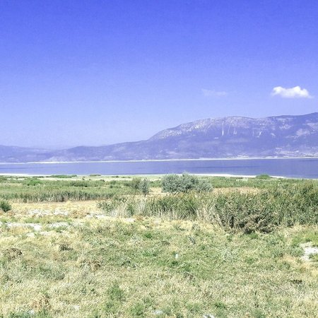 Burdur Golu Kus Cenneti
