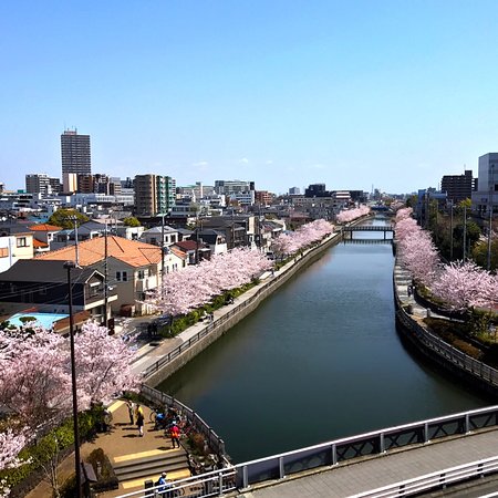 Shinkawa Hi no Miyagura