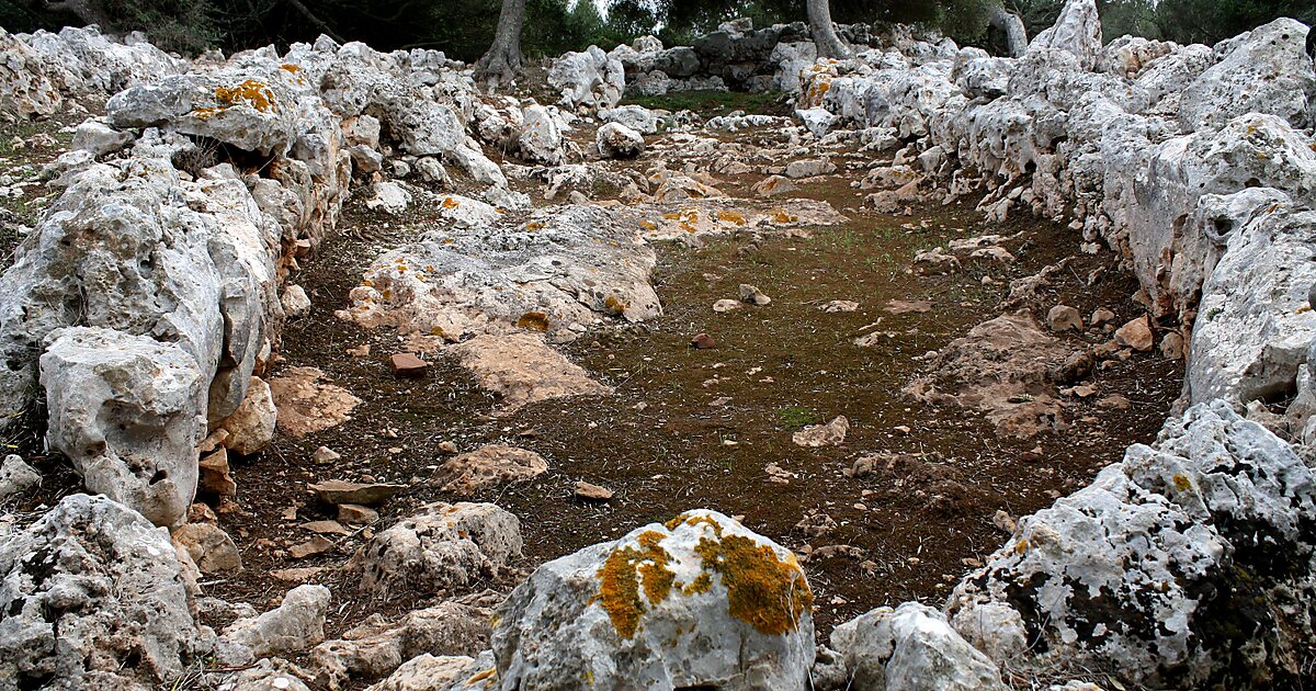 Poblat de Naviformes de Son Mercer de Baix