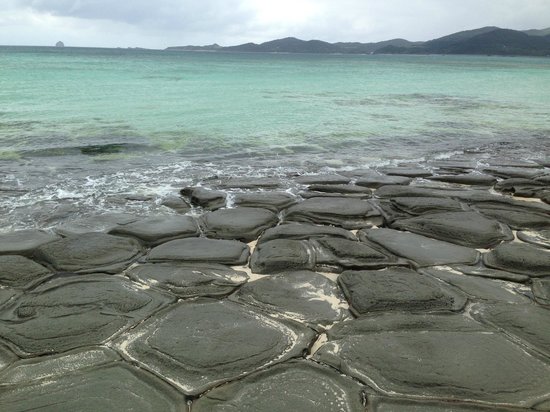 Ojima Island