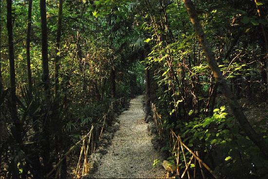 Finca La Pena Del Agua