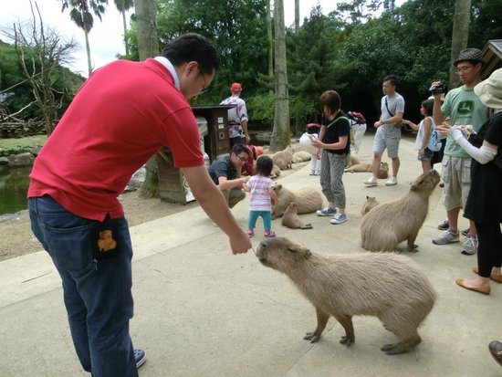 Nagasaki Bio Park