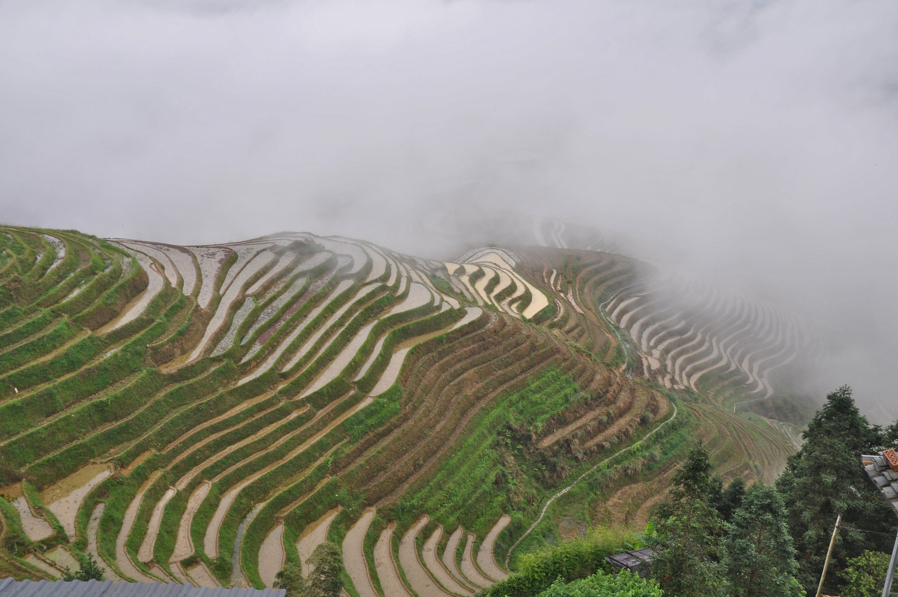 Nagasaka Rice Terraces
