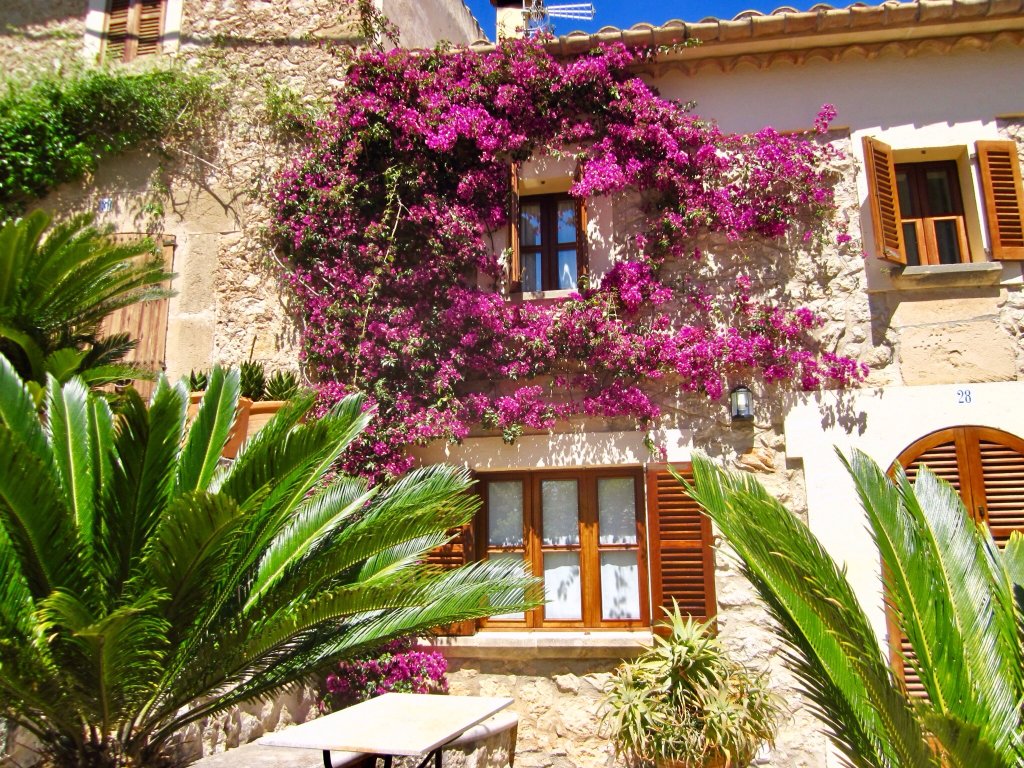 The 365 Calvari Steps