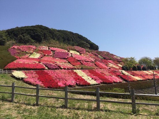 Furosan Comprehensive Park