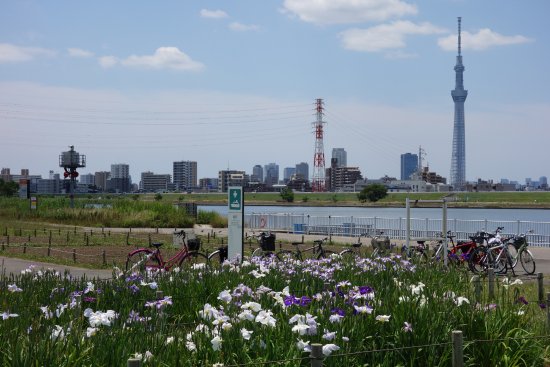 Horikiri Waterfront Park