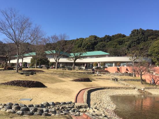 Akatsukayama Park (Gyogyo Land)