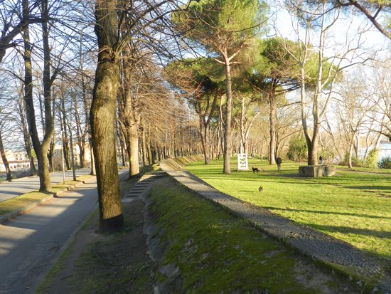 Viale delle Piagge