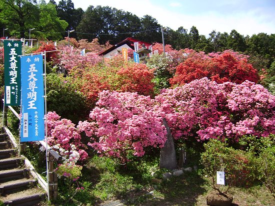 Godaison Azalea Park