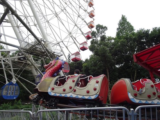 Forest Playland