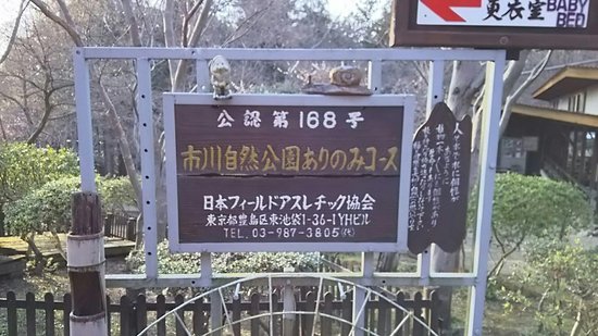 Arimino Course