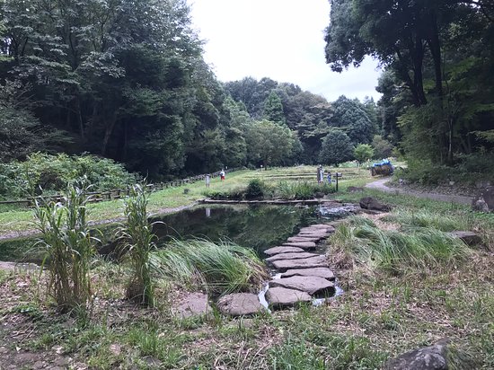 Tadao Park